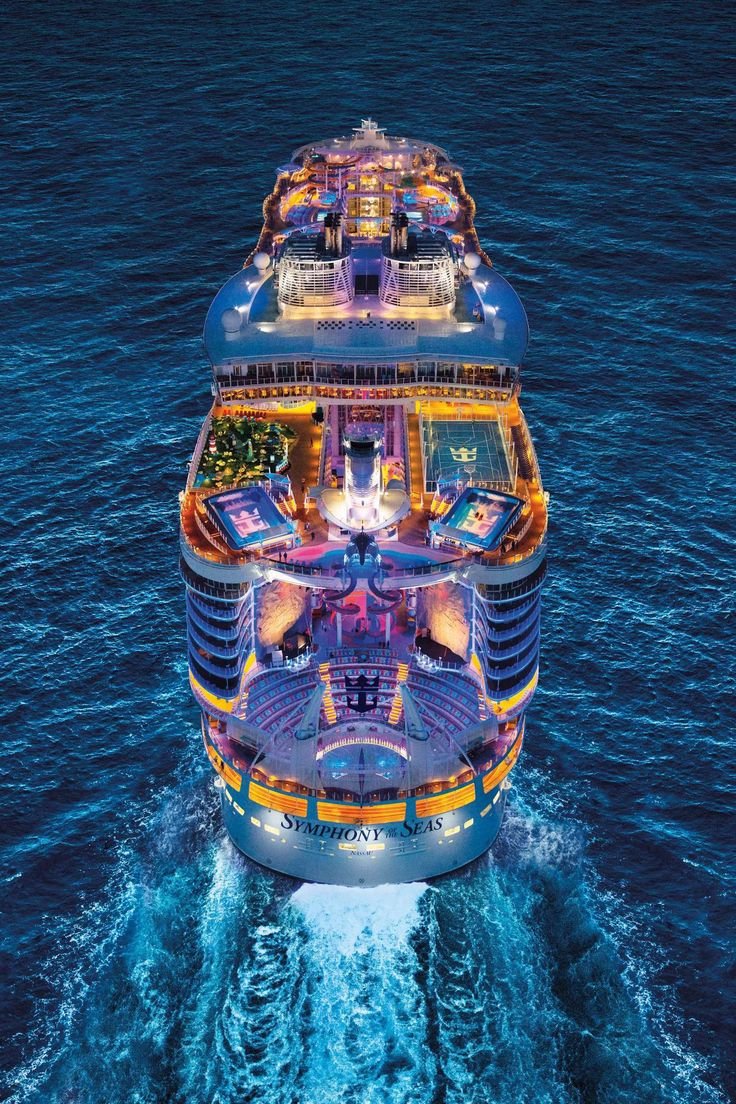 Cruise 3